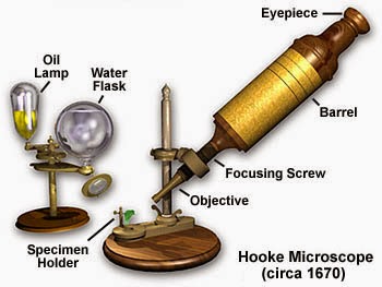 Leeuwenhoek's Microscope